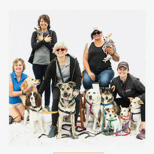 Team Page: Napa Pet Care